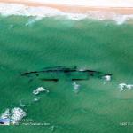 Ft Walton Beach Ship Wreck